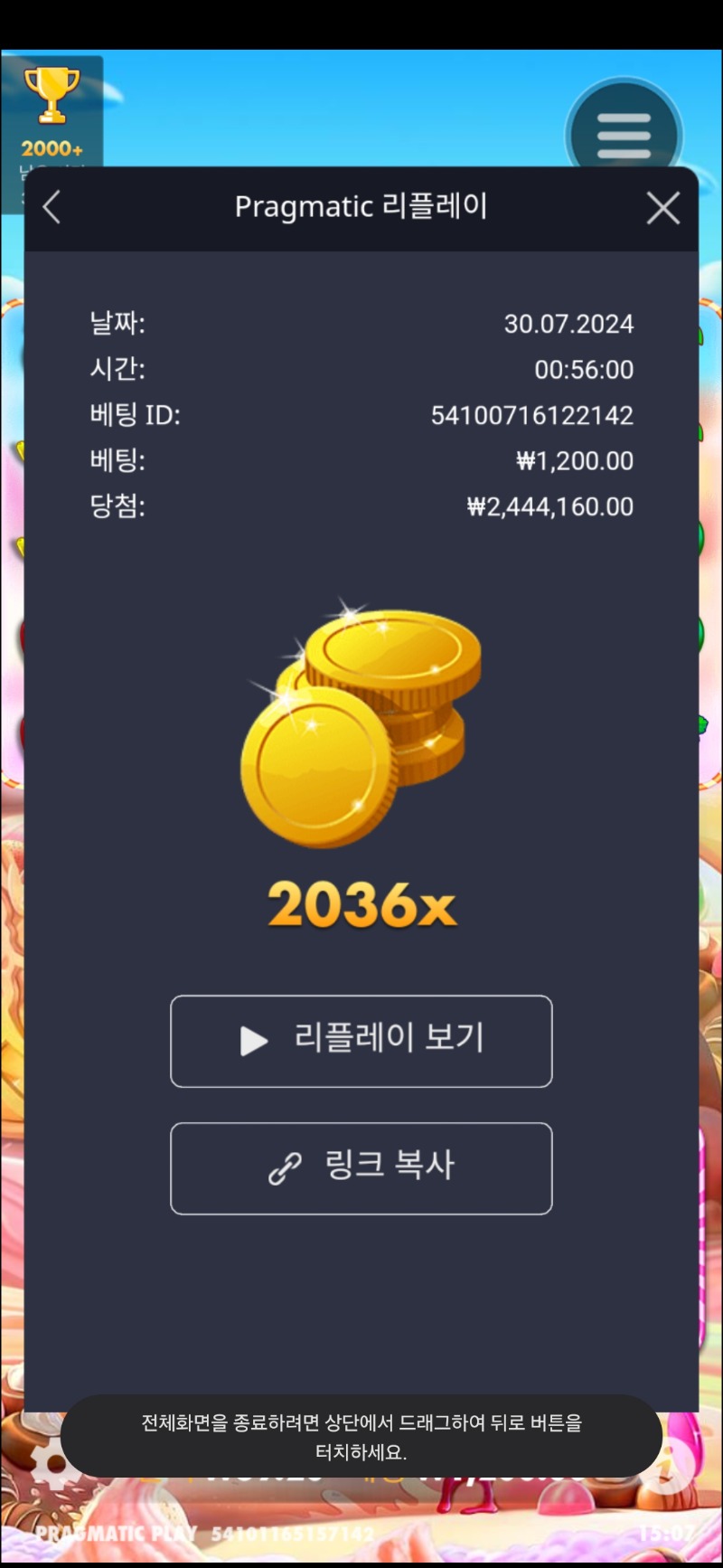 보난자1000  2036배