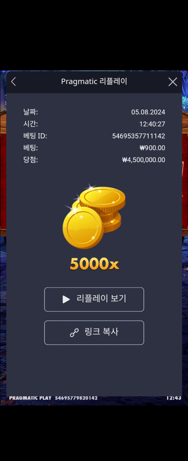 마담 5000배