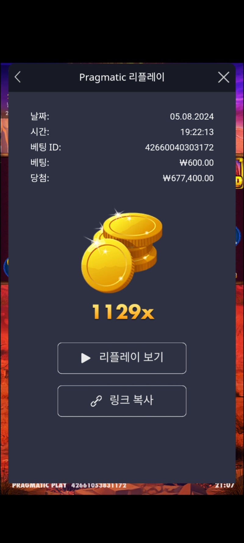 버팔킹 1129배