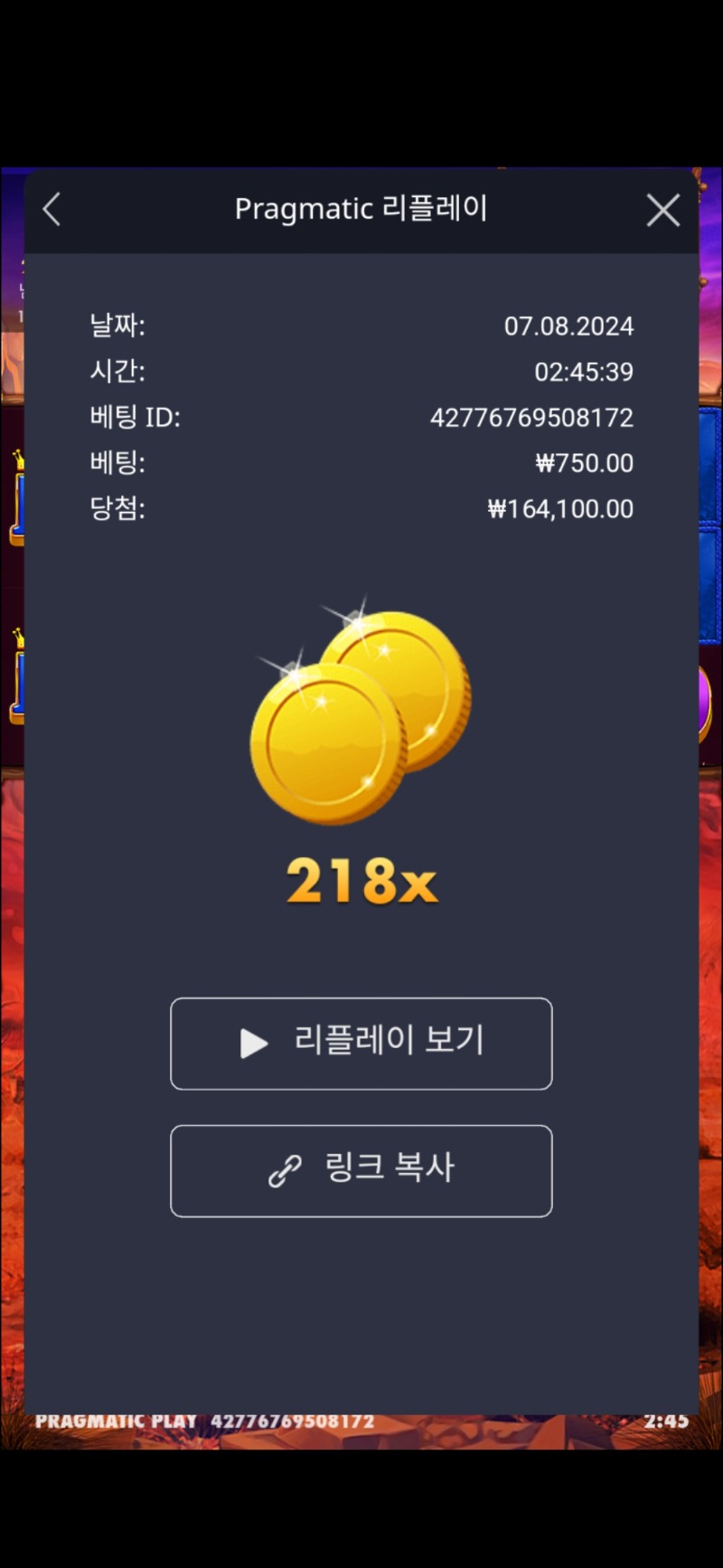 버메가 218배