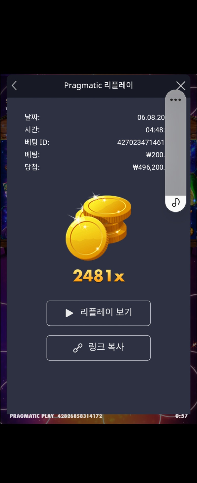 마담2481배