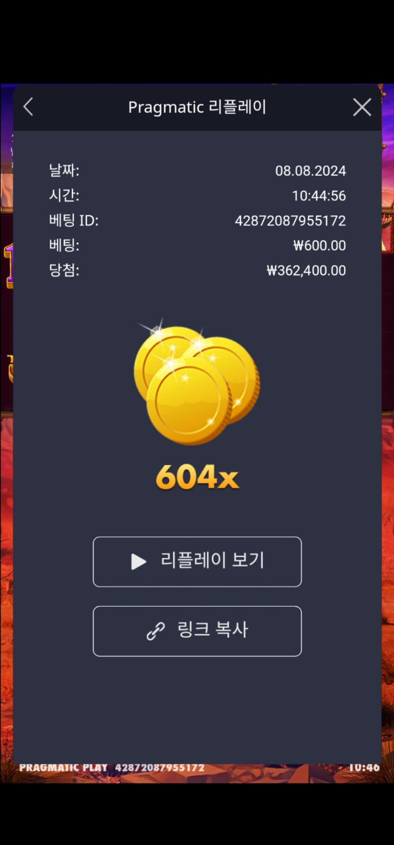 버메가 604배