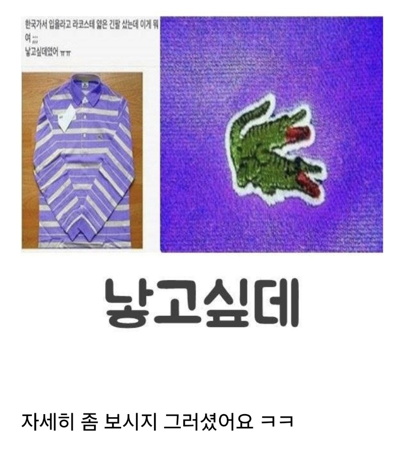 라코스테 x 낳고싶데 o