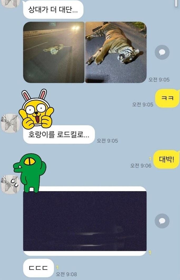 랑이 교통사고 괜찮나요