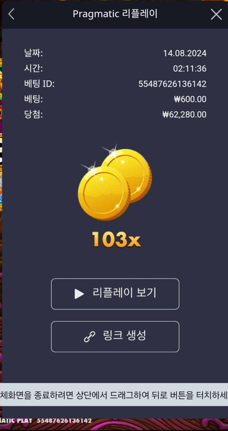 토라메 103배