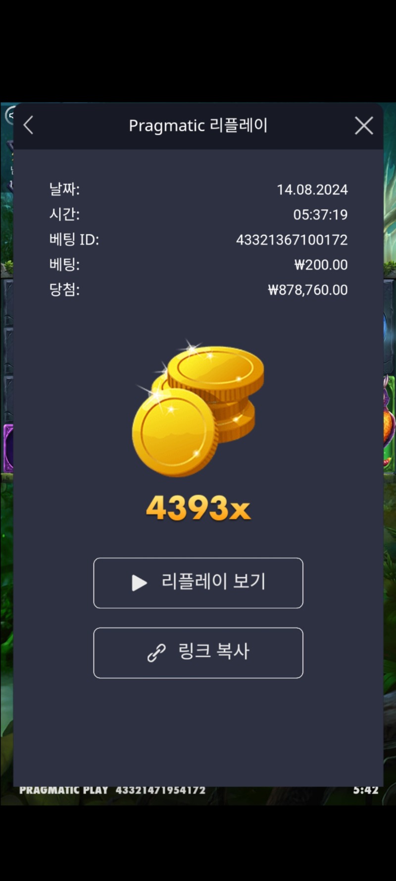 멀린 4393배