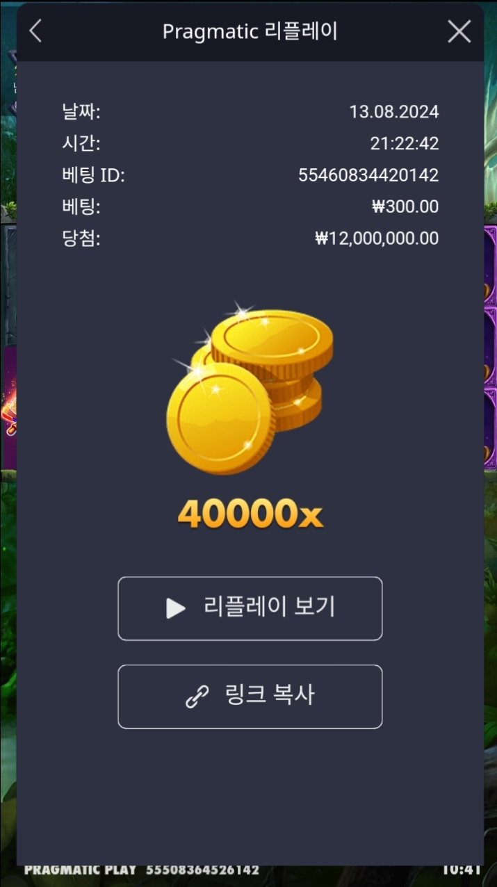 멀린40000배