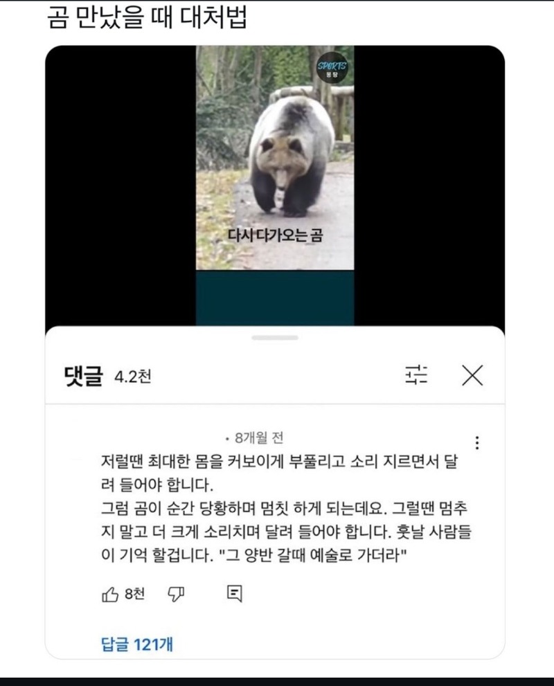 곰 만났을때 대처