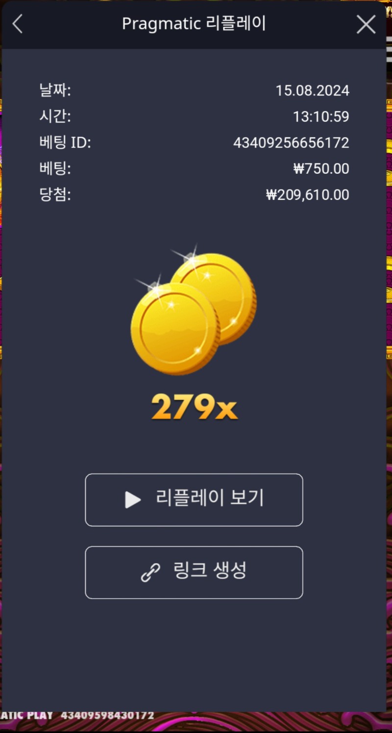 토라메 279배