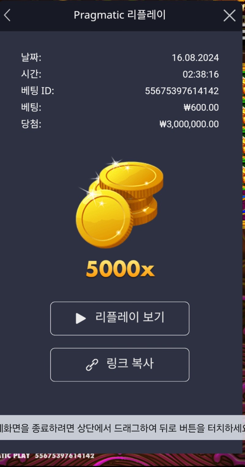 토라메 5000배