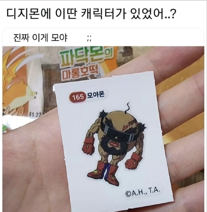 이거 맞아?포켓ㅁ몬..?