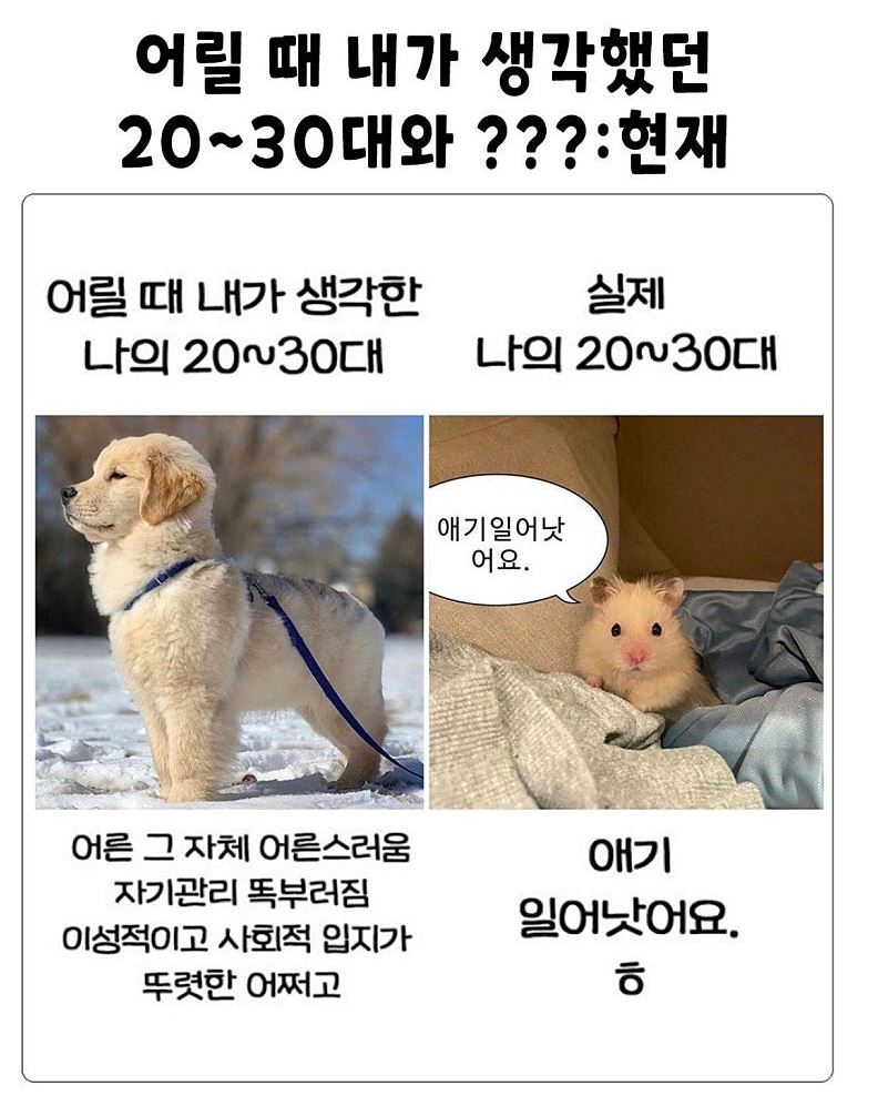 내가 어릴 때 생각한 지금의 어른