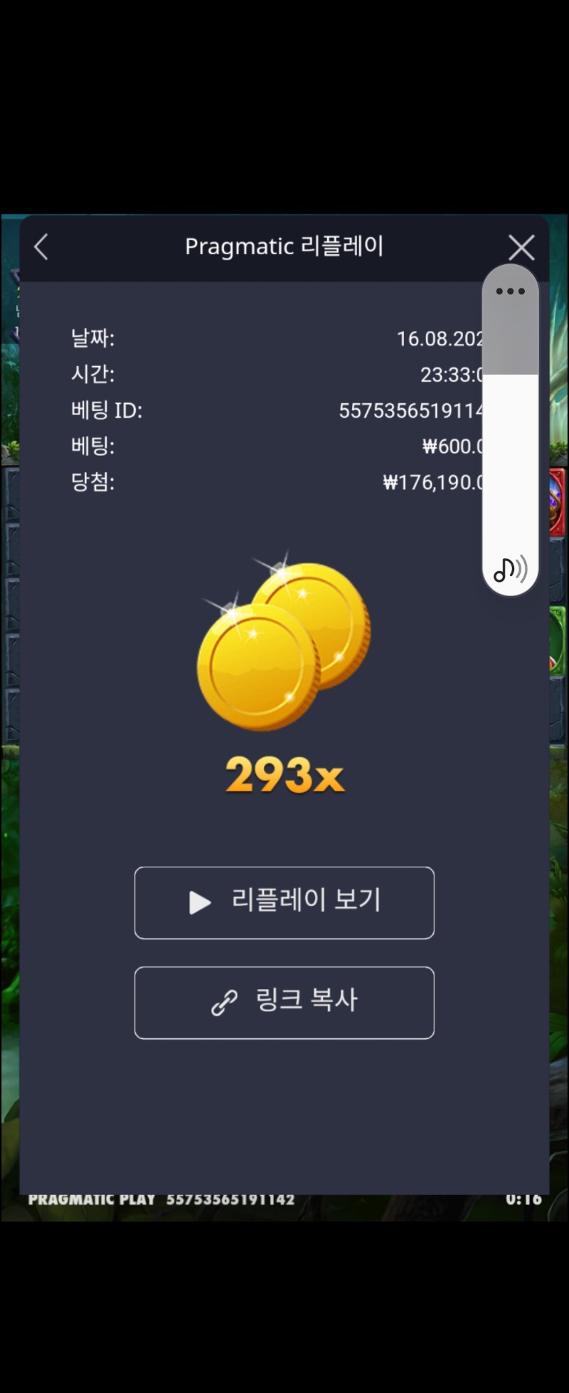 멀린 293배