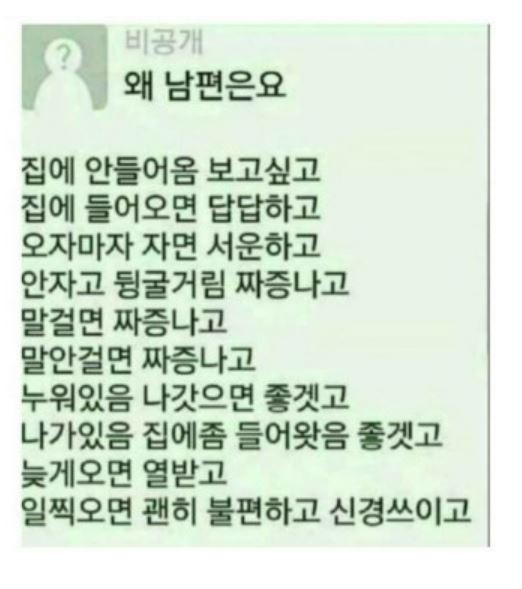 내 남편