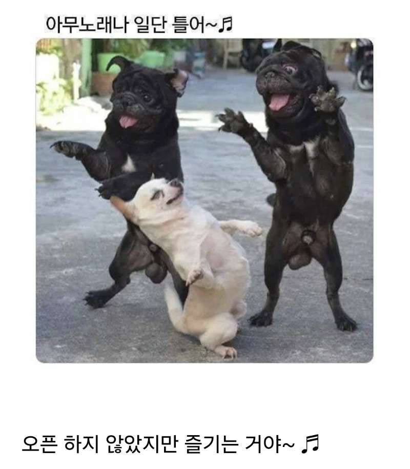 클럽충개 ㅋㅋ