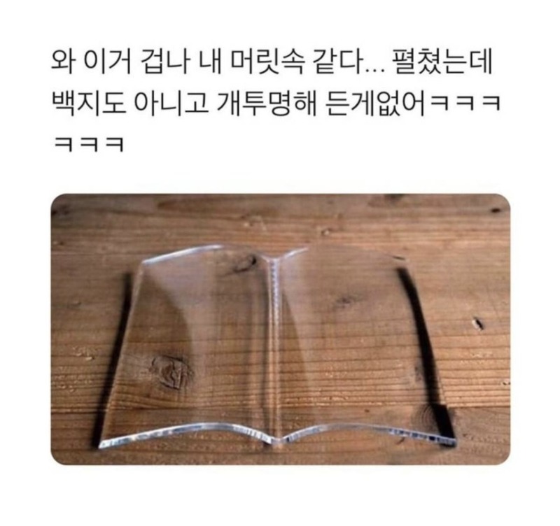 머릿속 공통점