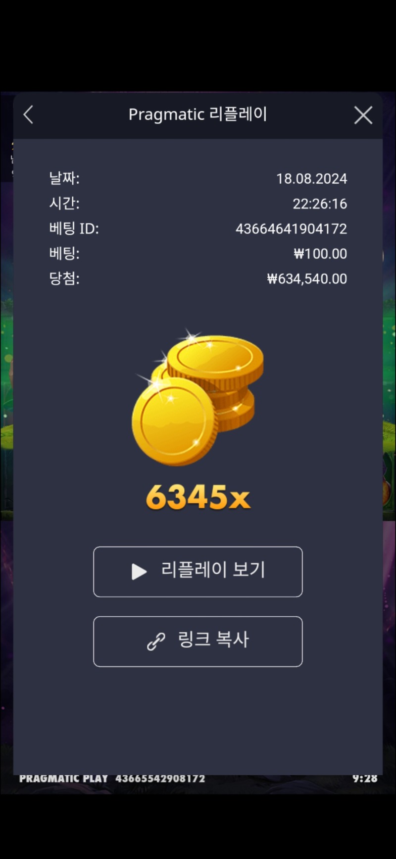 멀린 6345배