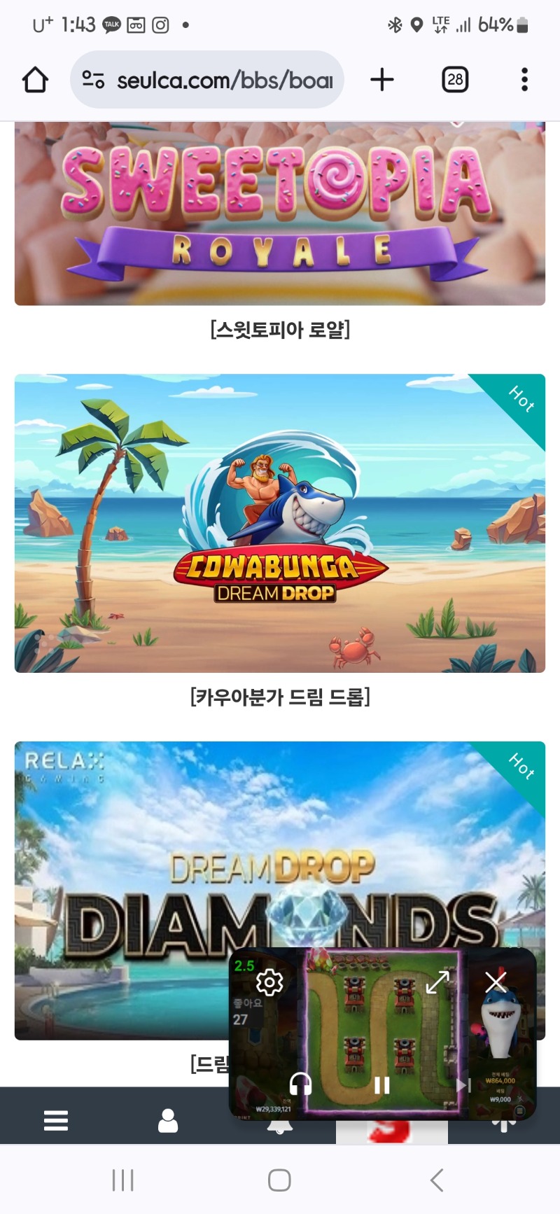 상어야 카우야 여기있자녀 ㅋㅋ