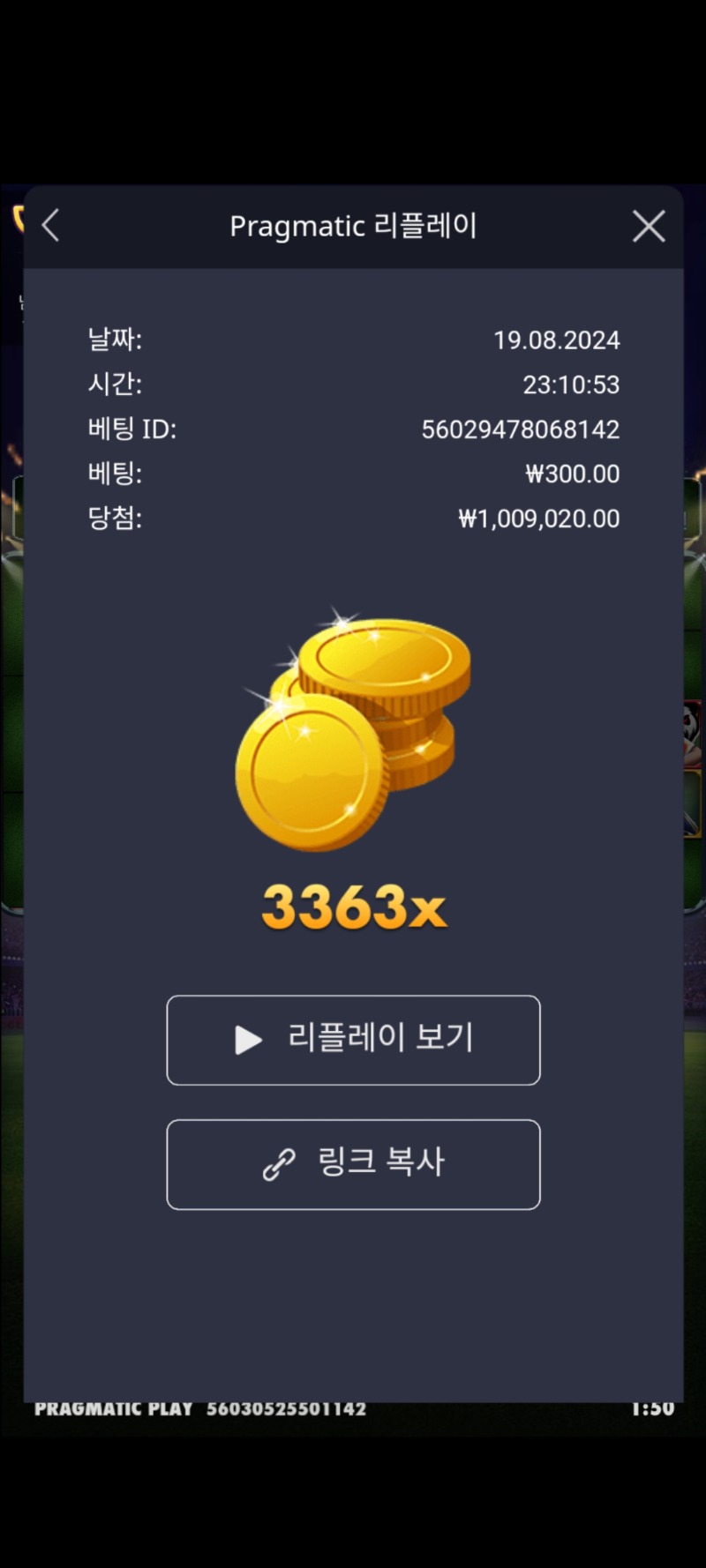 축구토르 3363배