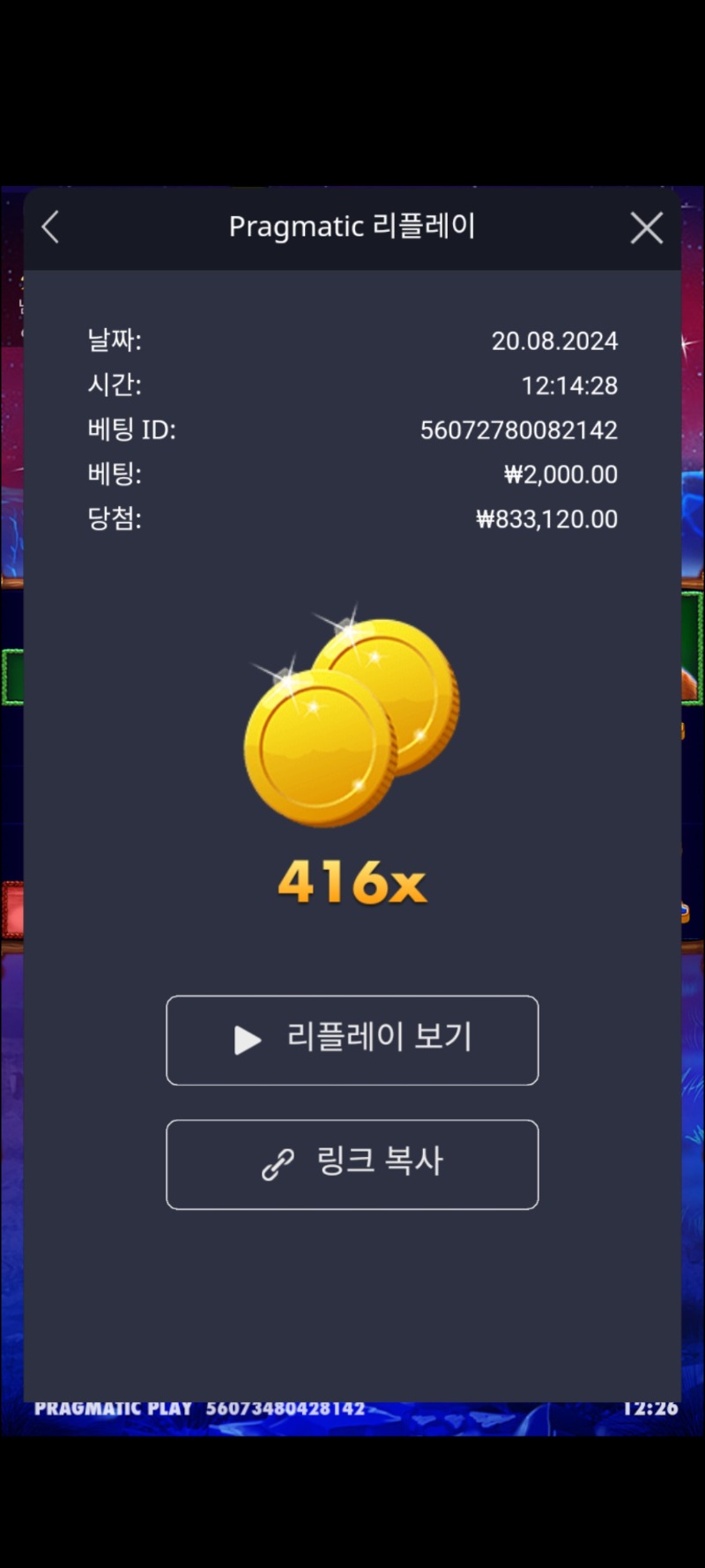 버메가416배