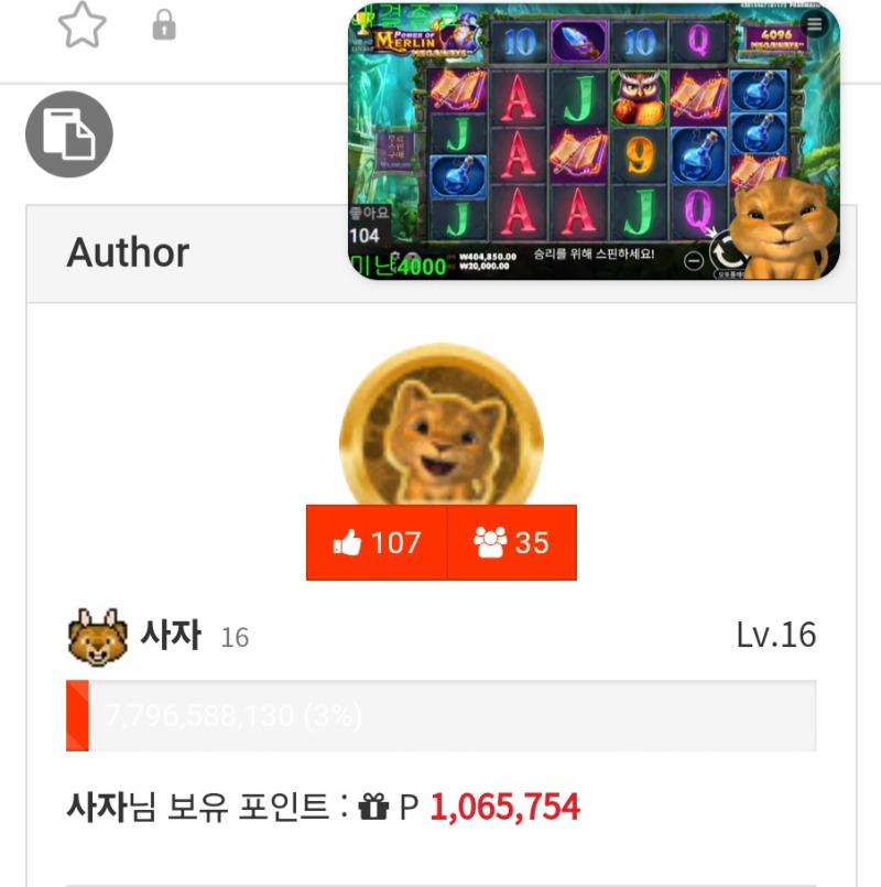 사자포인트가..