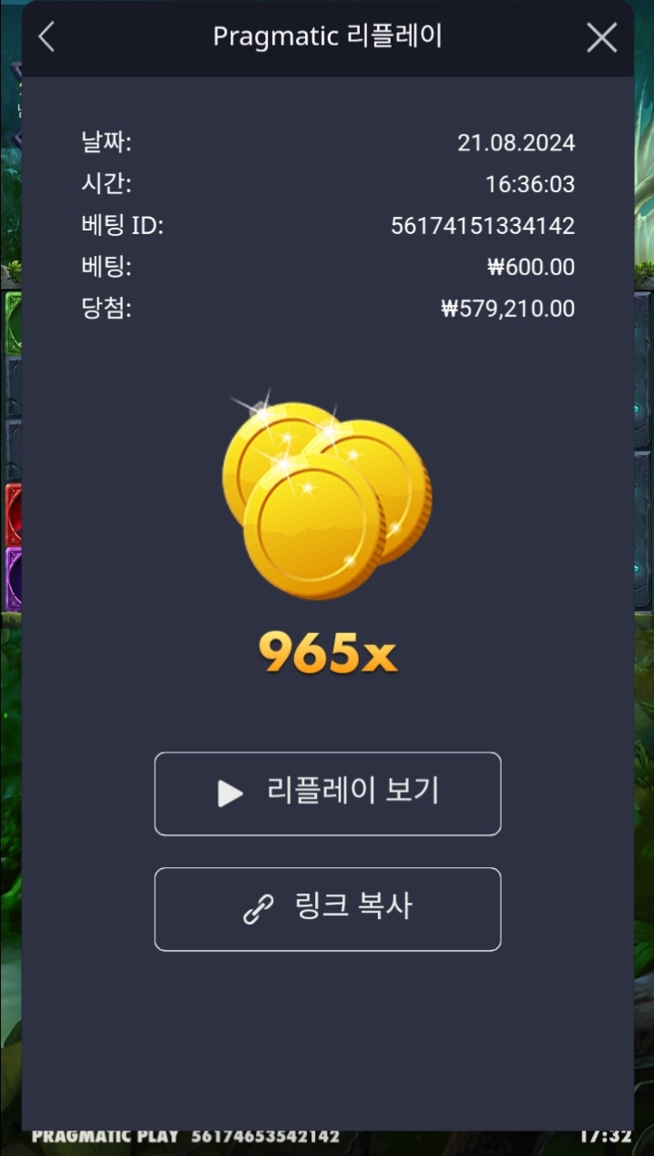 멀린 965배