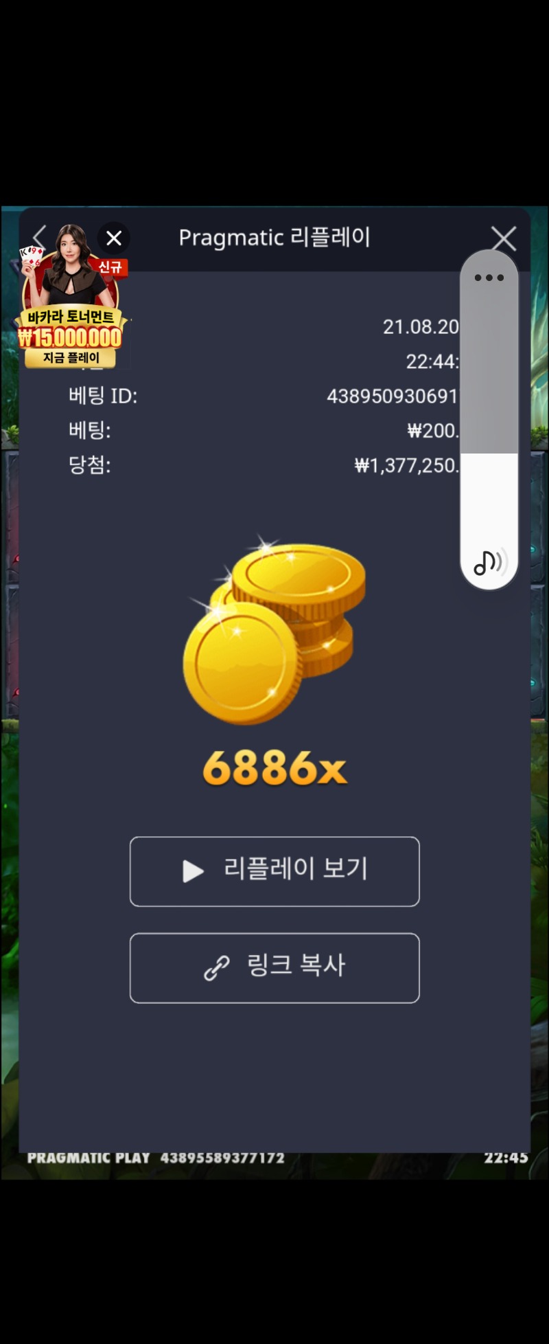 멀린 6886배