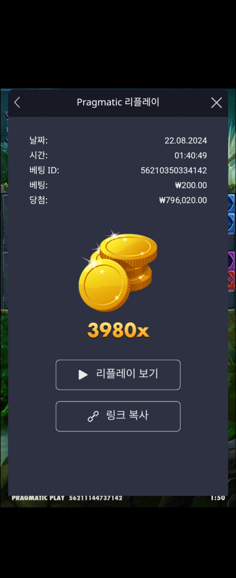 멀린3980배