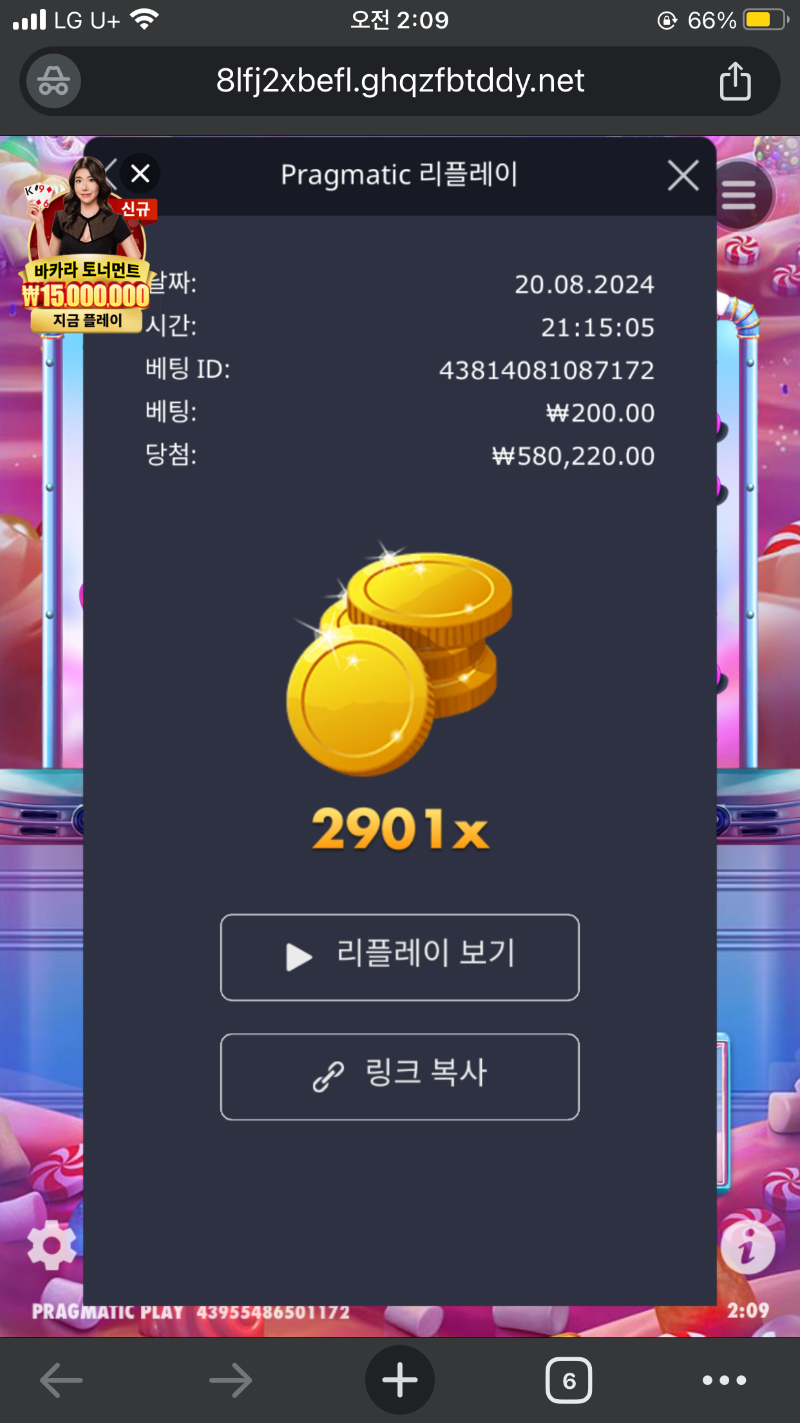 슈가천 2901배