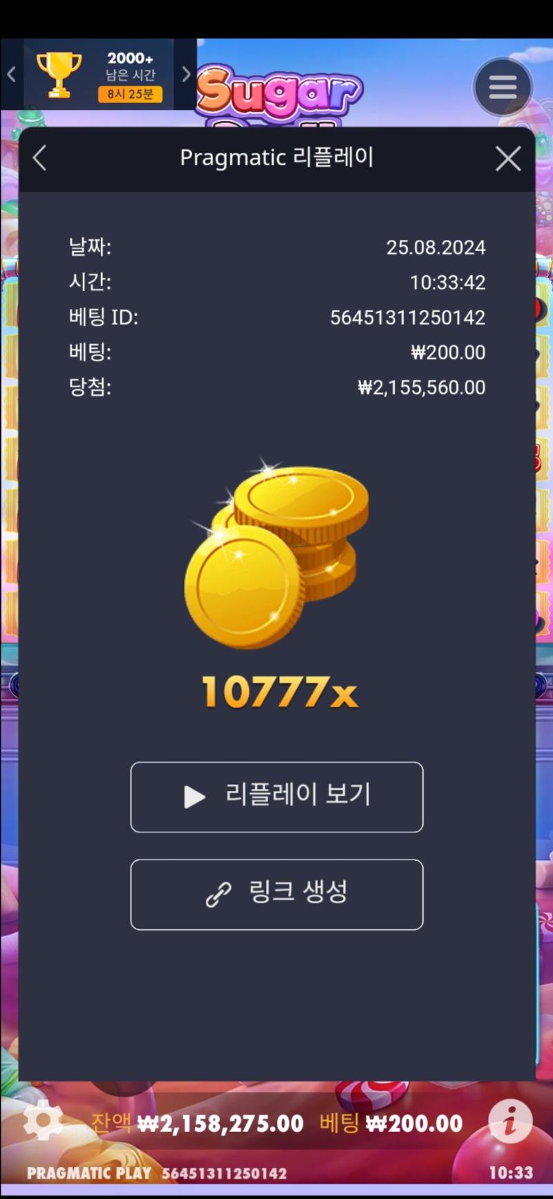 슈가1000.  10777배당ㄷㄷ