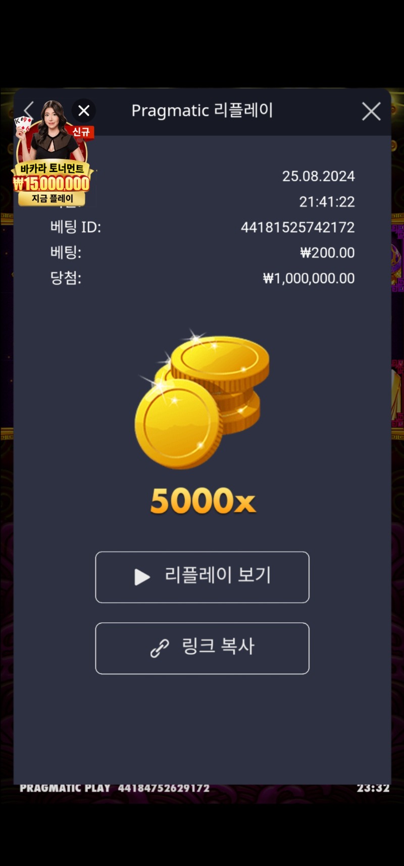 토라메 5000배