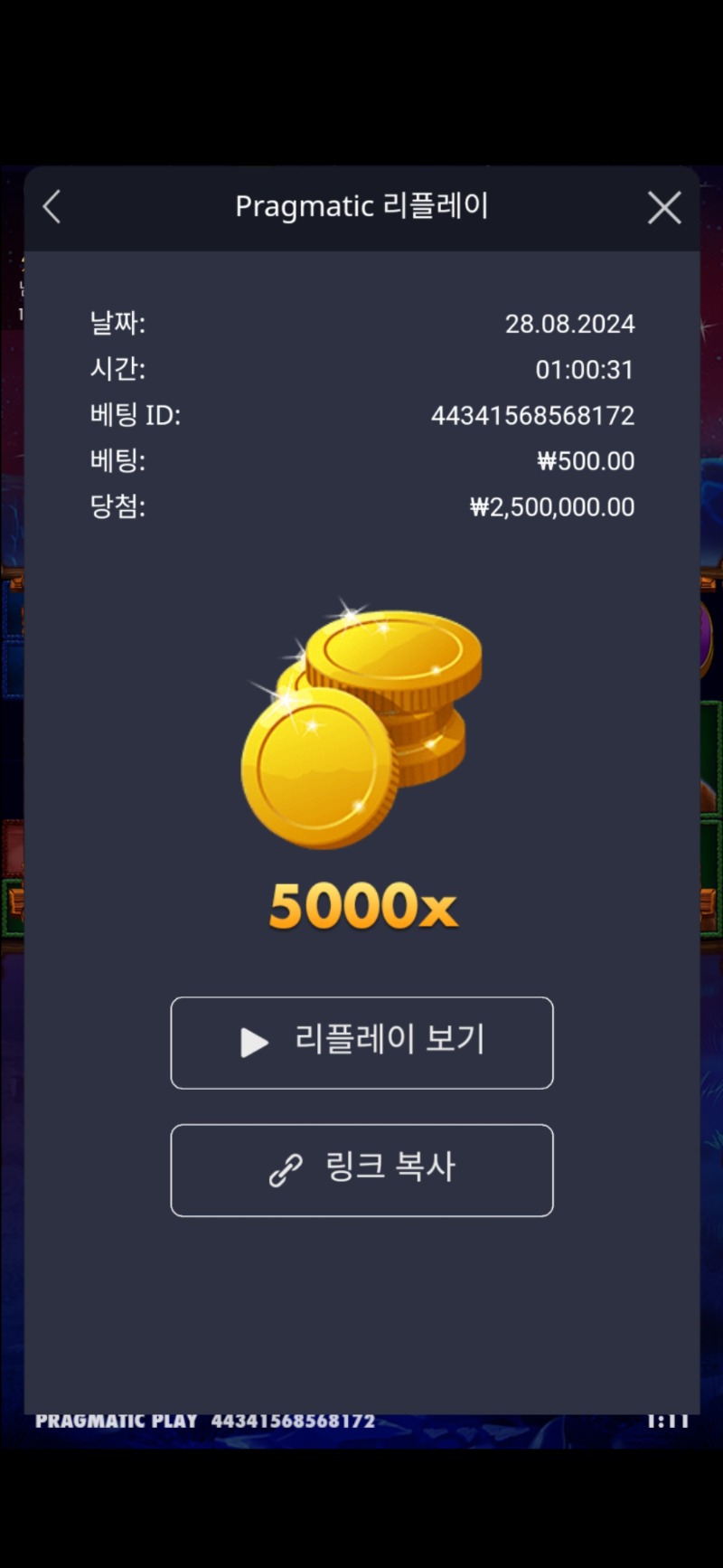 버메가 5000배