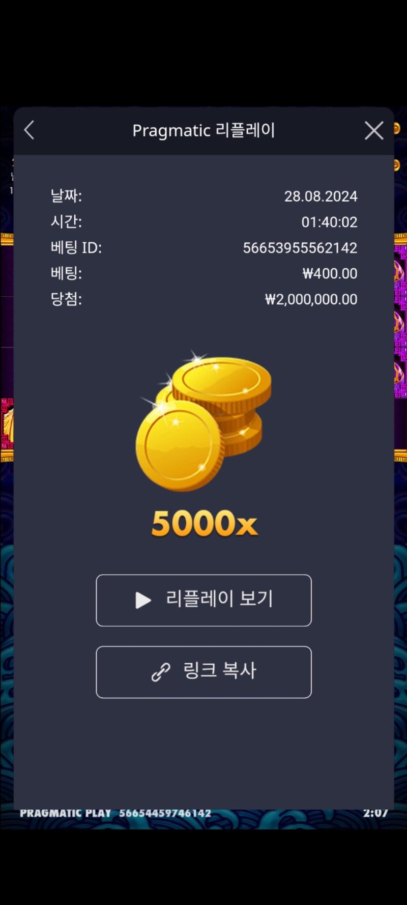 오라메5000배 맥스