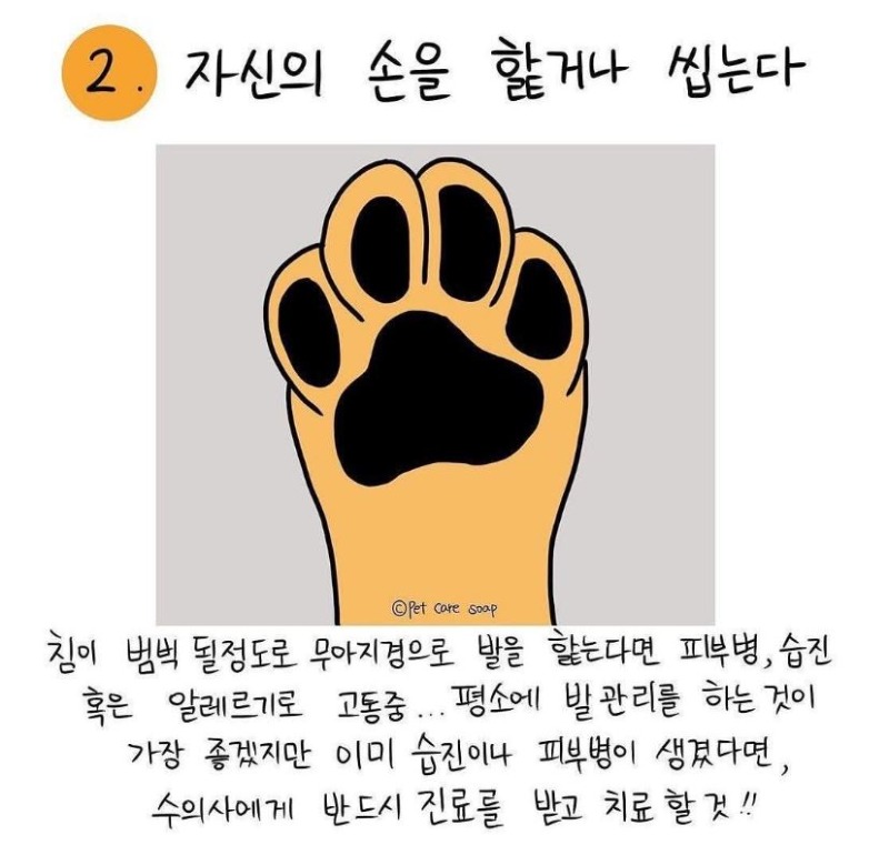 강아지가 핥는이유