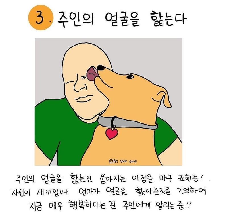 강아지가 핥는이유