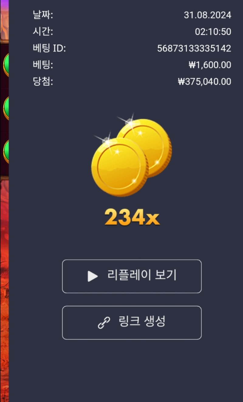 버메가 234