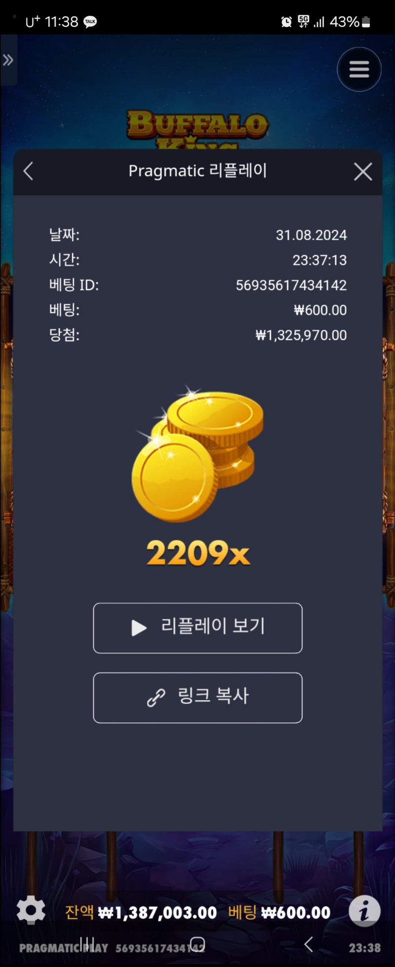 버메가언테임드 2209배