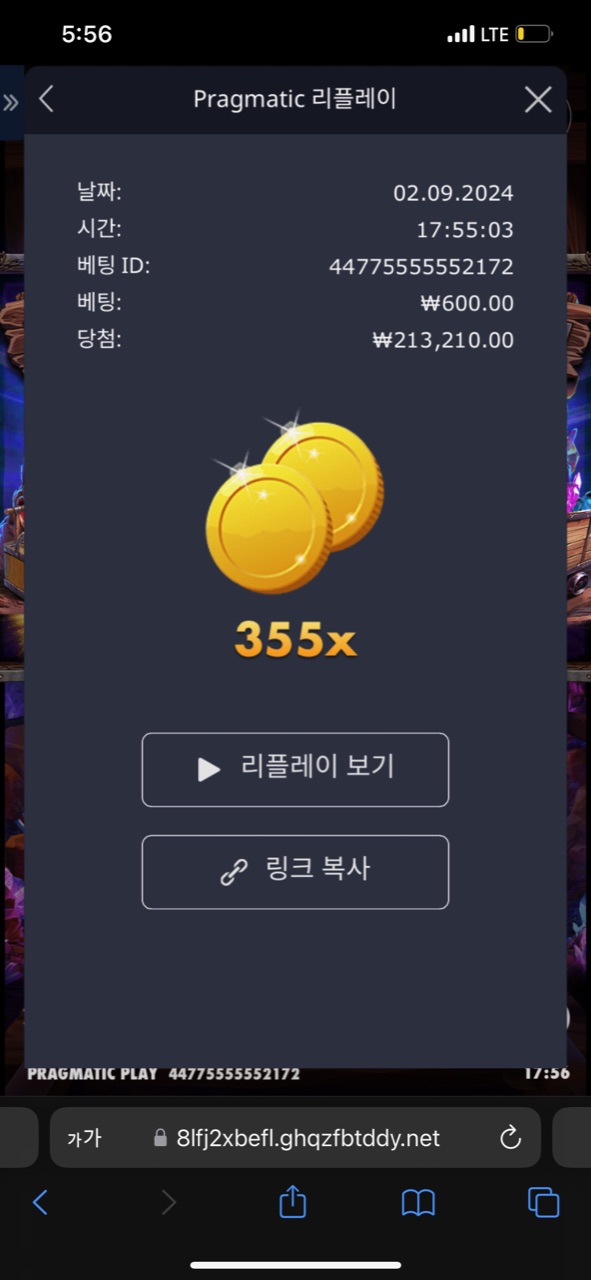 보닌자골드 355배