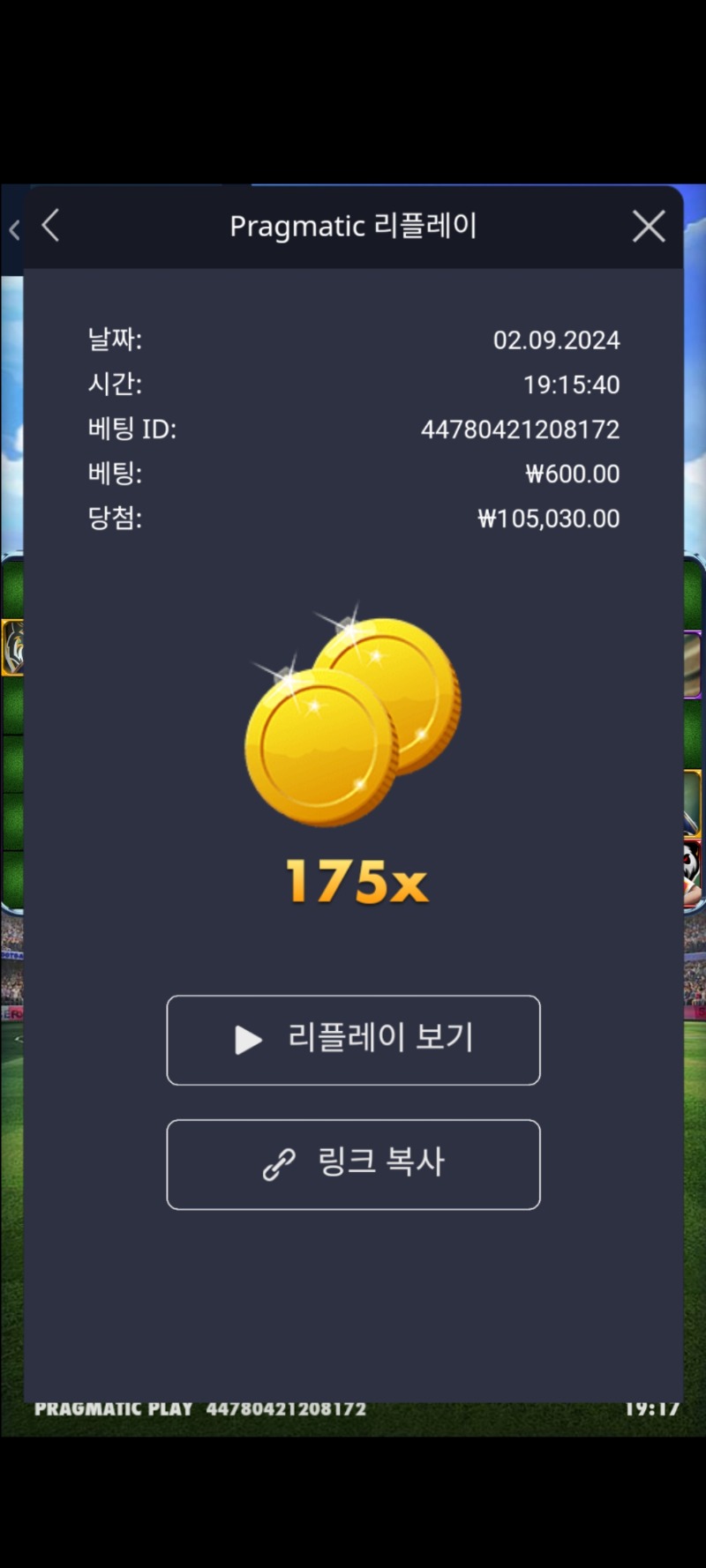 축구토르 175배