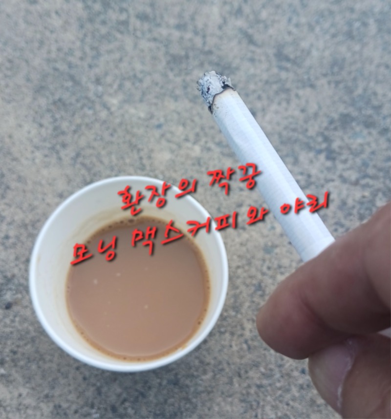 다들 맥스한잔 그리고 야리 한대 올리세요