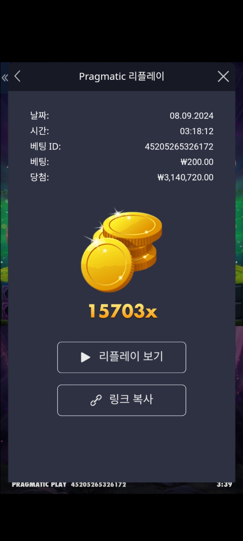 멀린 15703배