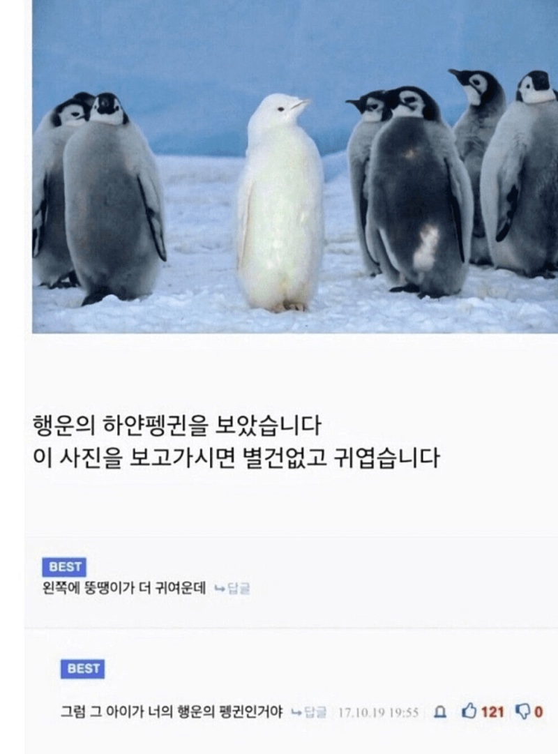 요즘 갈수록 희귀해지는 재능