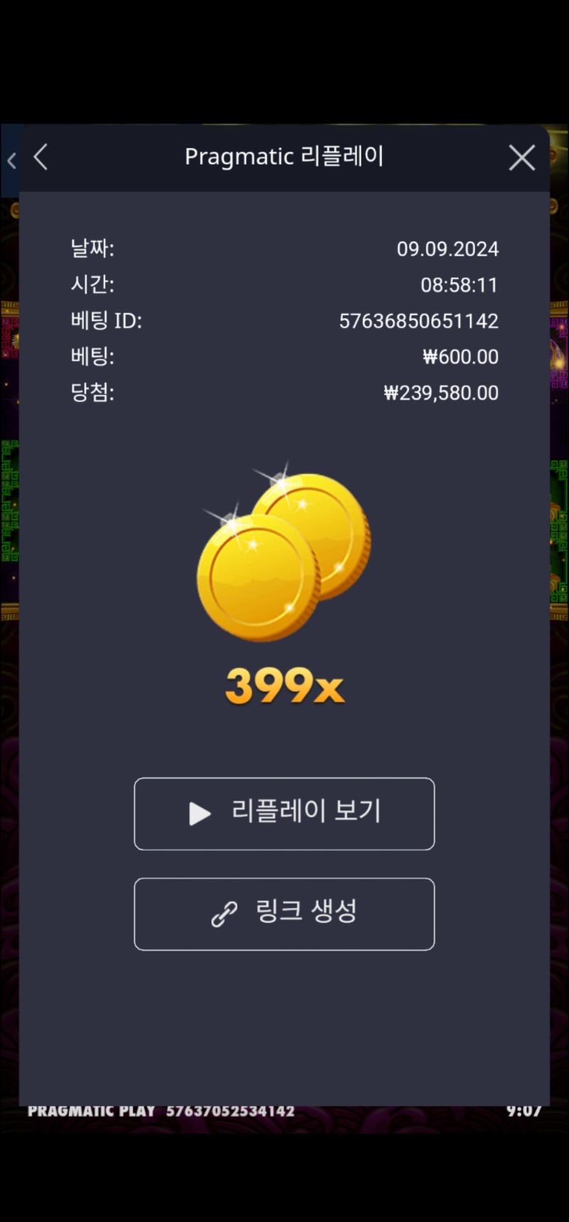 토라메 399배