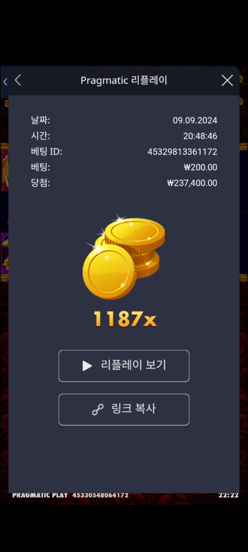 라이언 1187배