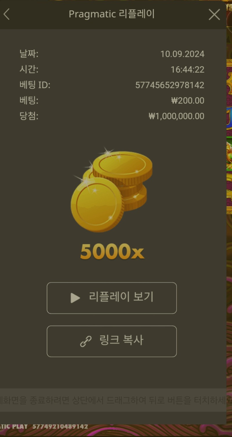 토라메 5000배