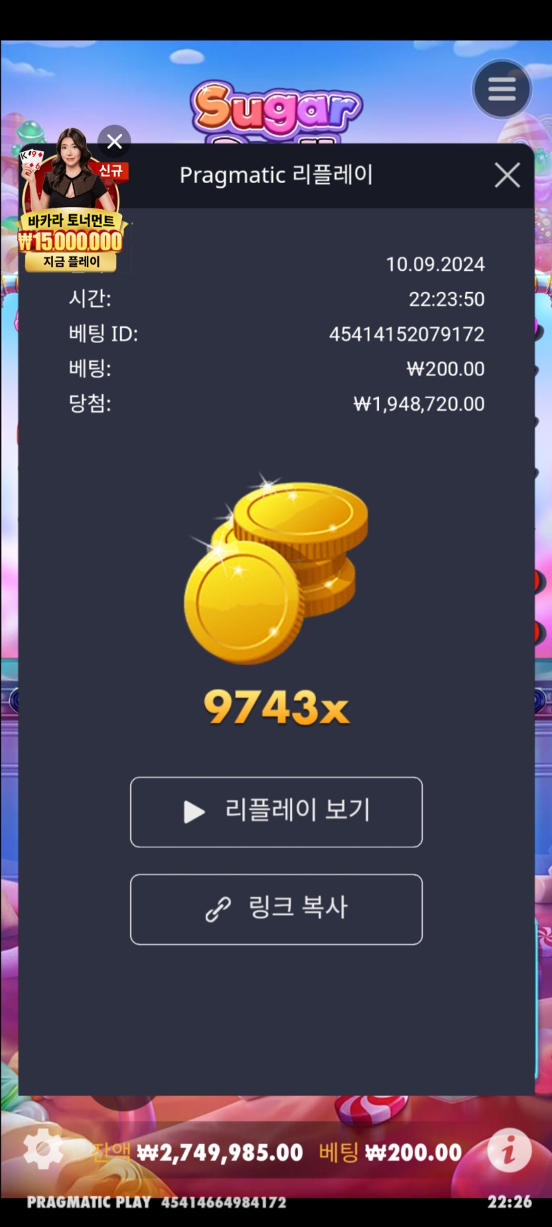 슈가천 ×9743