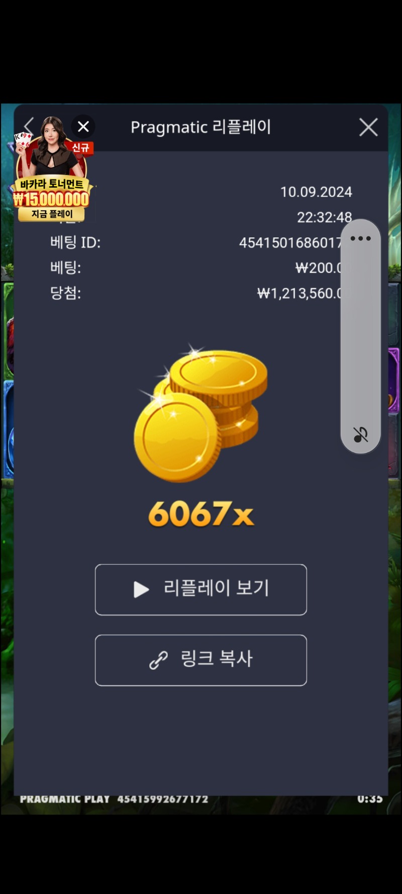 멀린 6067배