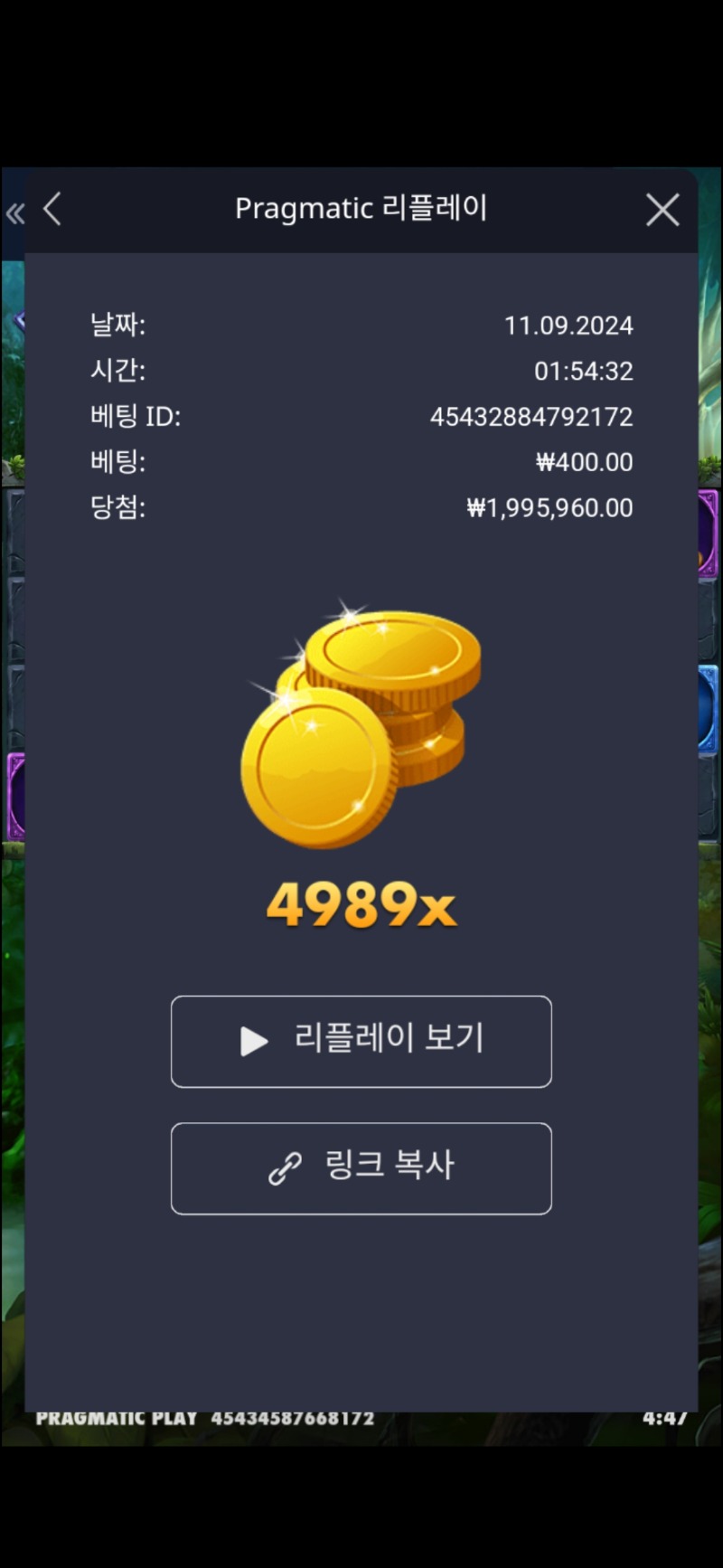 멀린 4989배