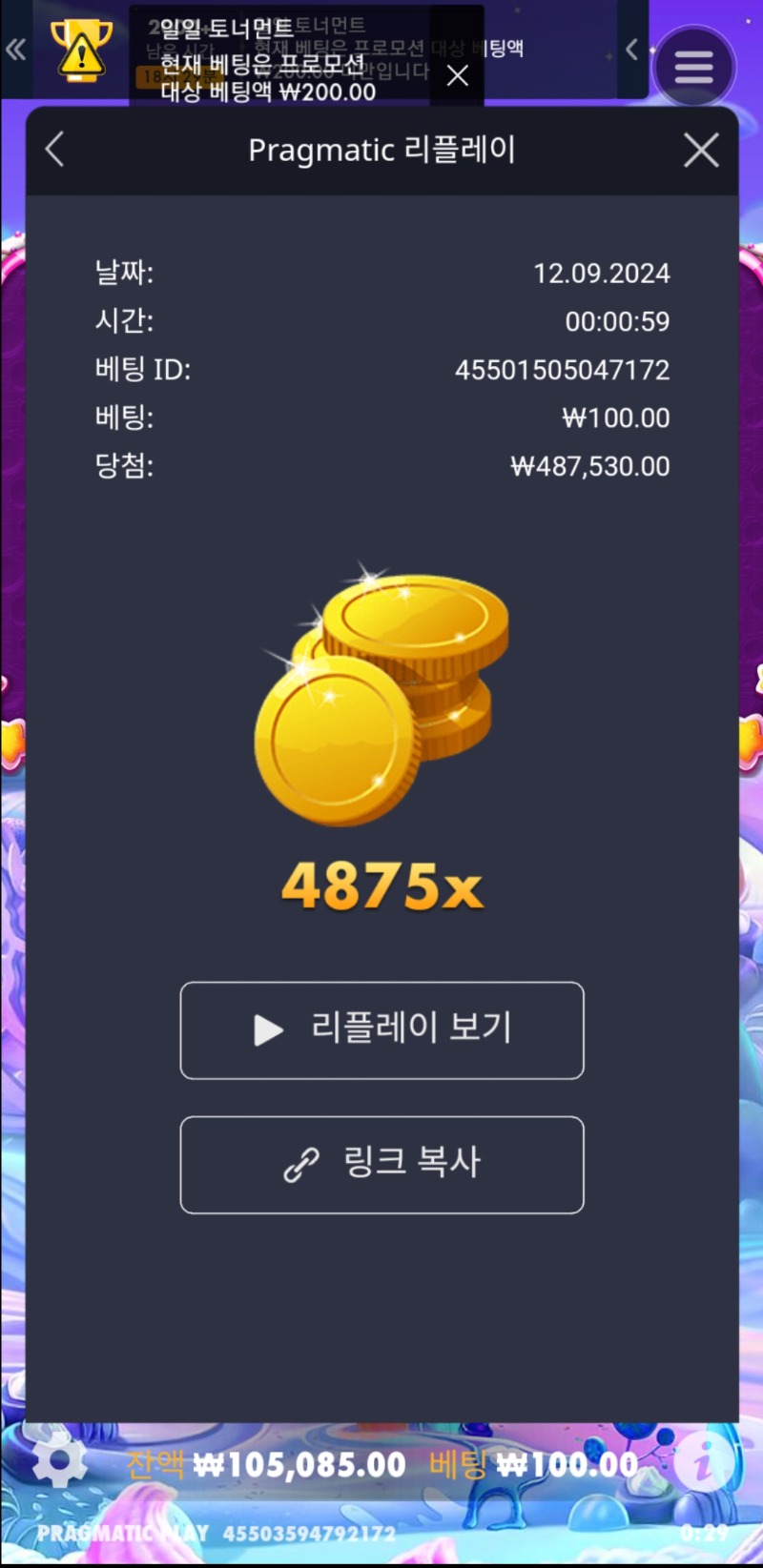 스위트천 4875배