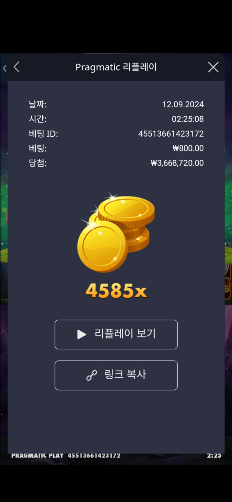 멀린4585배